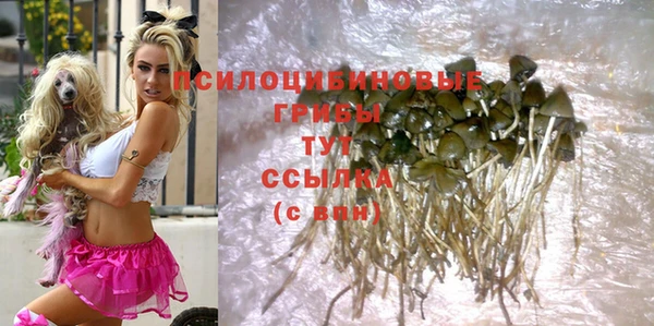 трава Верхний Тагил